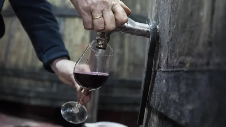 La tradición vinícola española: del campo a la copa