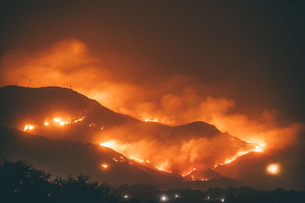 Incendios forestales: la información es clave para  salvar a nuestros bosques 