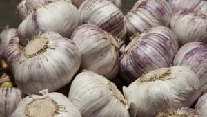 Argentina actualiza su reglamento sobre calidad del ajo en línea con el Mercosur