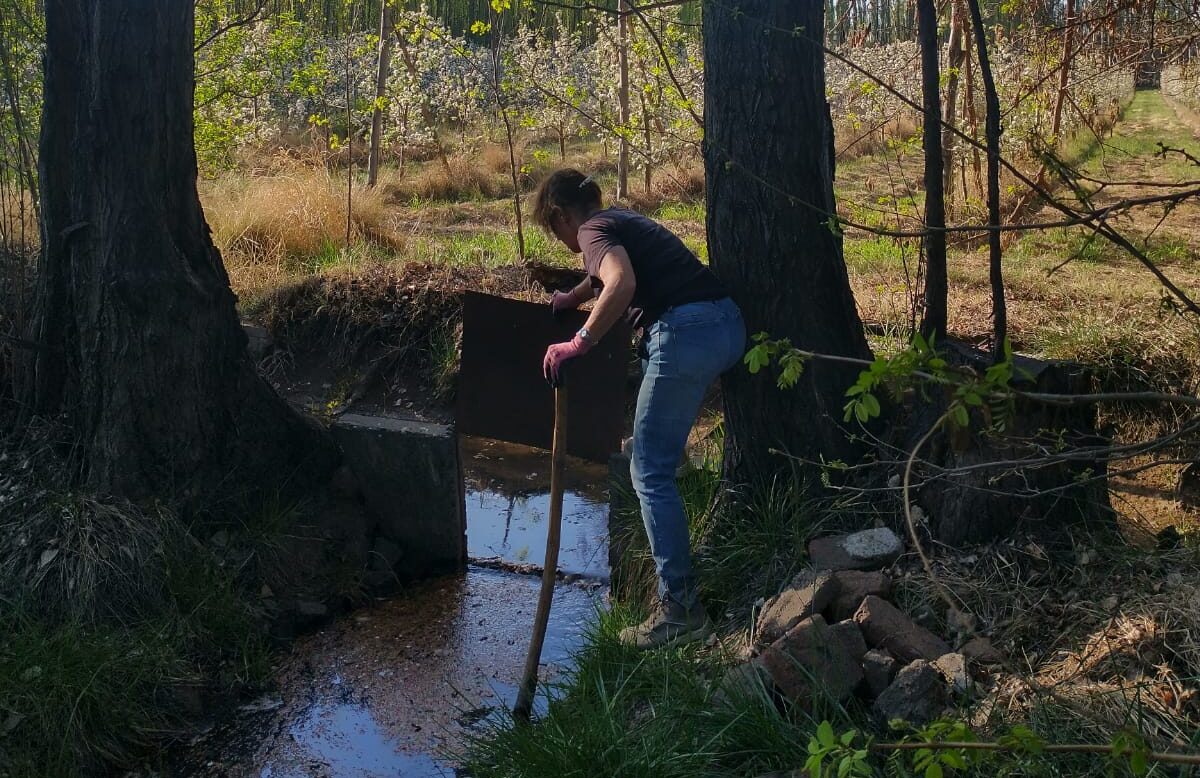 Abandonar nunca, vender jamás: La historia de Ángela “Pepi” Vives, que se reinventó con peras y manzanas para salvar la chacra de sus abuelos y ahora produce sidra con ambas frutas
