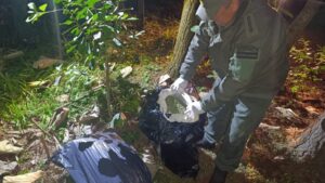 Narcotráfico y Contrabando: Más de 80 kilos de cogollos de marihuana y 10.500 paquetes de cigarrillos fueron secuestrados en Misiones