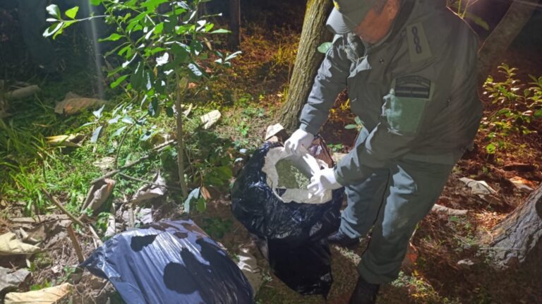 Narcotráfico y Contrabando: Más de 80 kilos de cogollos de marihuana y 10.500 paquetes de cigarrillos fueron secuestrados en Misiones