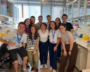 El consumo de verduras, frutas, legumbres y cereales integrales beneficia a la microbiota