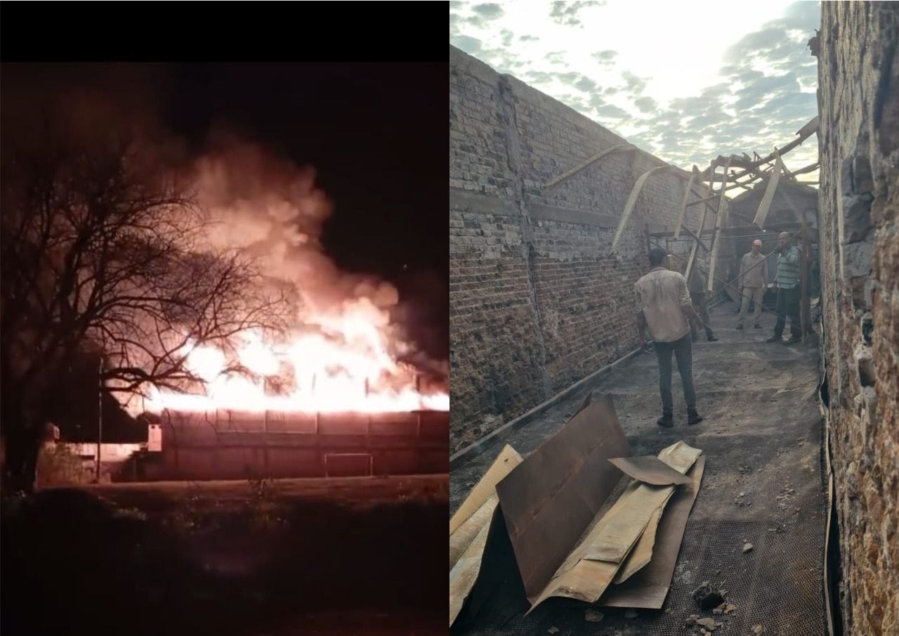 Producir después del fuego: Una cooperativa yerbatera volvió a la zafra de la mano de “los tuneros”, como llama a sus propios consumidores