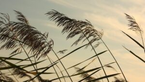 Nombres del viento en España: vientos famosos y curiosidades