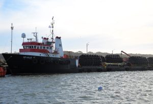 ANP aprobó sus Líneas Estratégicas para el período 2025 – 2029