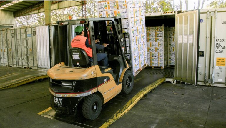 América latina analizó proyectos de normas fitosanitarias para comercio vegetal