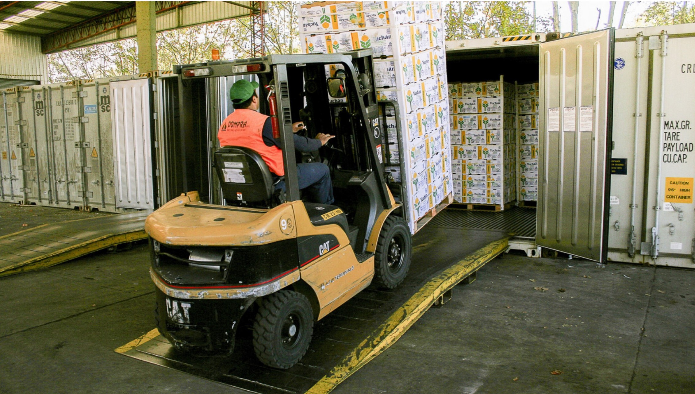 América latina analizó proyectos de normas fitosanitarias para comercio vegetal