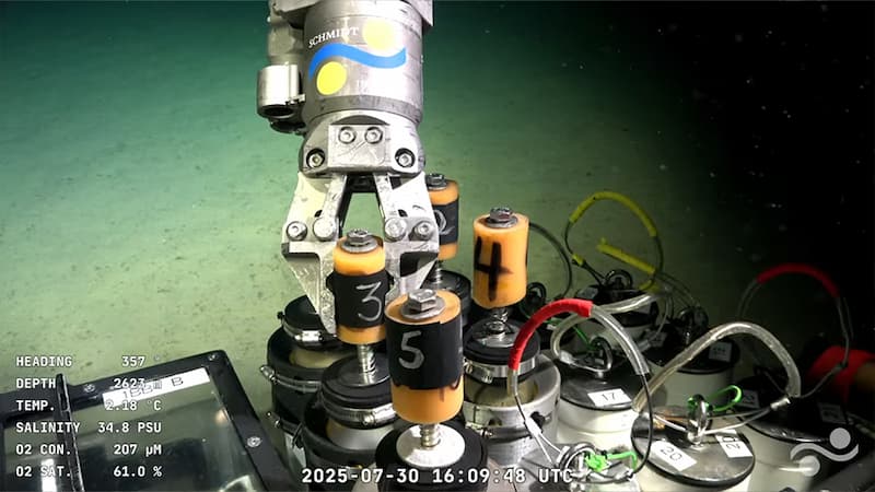 Transmisión en vivo a 3 900 metros de profundidad de una misión oceánica