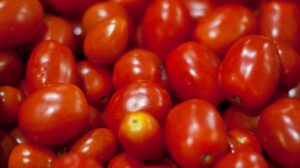 Argentina actualizó su reglamento sobre calidad e identidad del tomate en línea con el Mercosur
