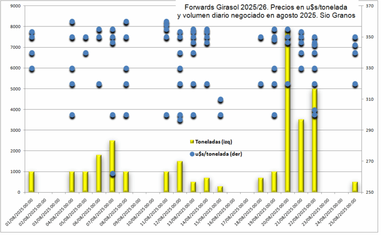El girasol va camino a ser uno de los mejores negocios del ciclo 2025/26: Se acelera la venta de forwards