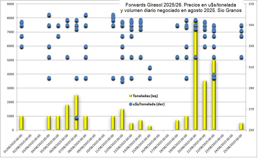 El girasol va camino a ser uno de los mejores negocios del ciclo 2025/26: Se acelera la venta de forwards