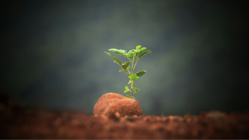 Deja que las parábolas de Jesús te lean