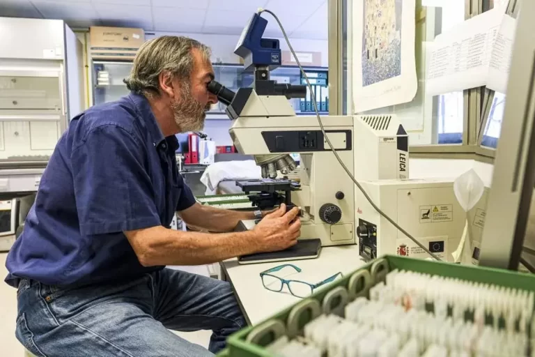 Qué sabemos sobre los retrasos del desarrollo cerebral tras covid prenatal