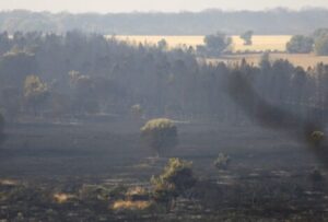 Portugal mantiene movilizados a 3.500 efectivos para combatir los incendios