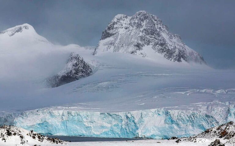 Glaciares en retirada por la crisis climática: el golpe silencioso que implica para la biodiversidad que habita en el hielo