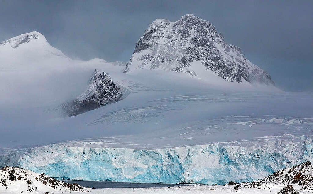 Glaciares en retirada por la crisis climática: el golpe silencioso que implica para la biodiversidad que habita en el hielo