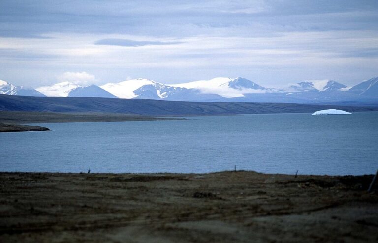 El frío del Ártico era la barrera ideal contra las especies invasoras. Ahora esa barrera está cayendo