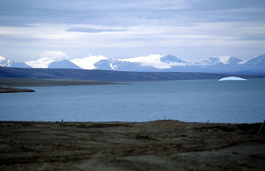 El frío del Ártico era la barrera ideal contra las especies invasoras. Ahora esa barrera está cayendo El frío del Ártico era la barrera ideal contra las especies invasoras. Ahora esa barrera está cayendo