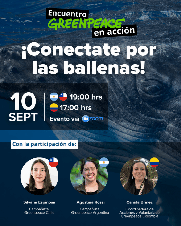 ¡Conectate por las ballenas!: un encuentro para celebrar, aprender e inspirarnos