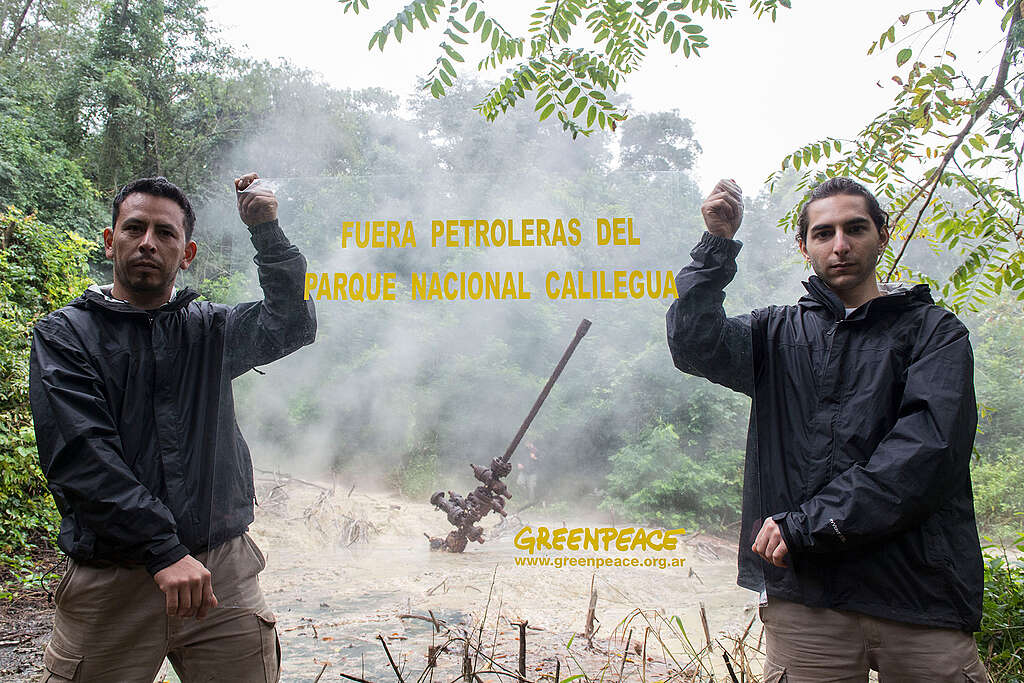 Greenpeace celebra fallo de la Corte Suprema que obliga al cierre y remediación de la actividad petrolera en el Parque Nacional Calilegua