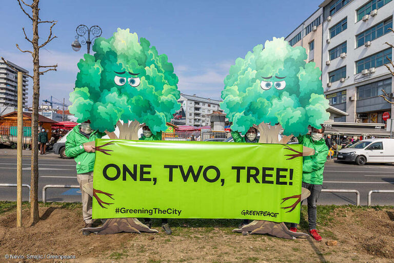 De jungla de cemento a bosque urbano: la evolución de las ciudades frente a la crisis climática