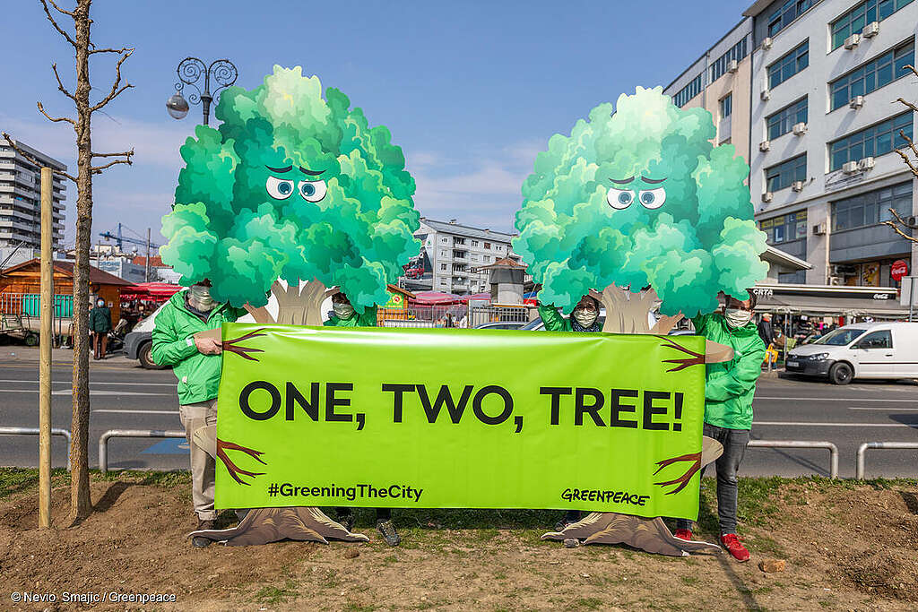 De jungla de cemento a bosque urbano: la evolución de las ciudades frente a la crisis climática