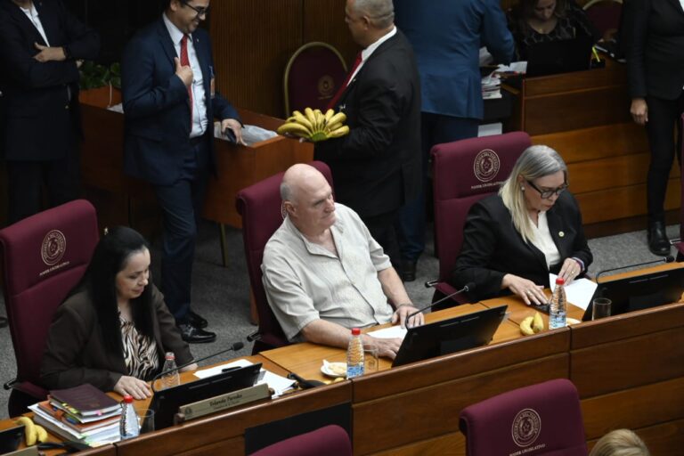 Frágil mayoría y crisis en el cartismo amenazan a la presidencia de Bachi Núñez en el Senado