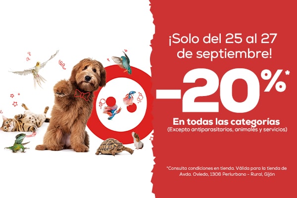 ¡Nueva apertura de una tienda Kiwoko en Gijón Roces!