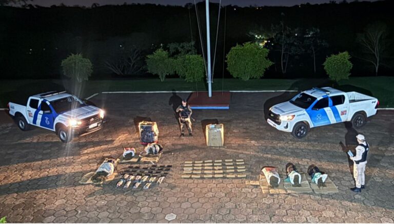 Prefectura secuestró casi 100 kilos de droga en Puerto Iguazú