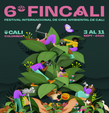 Fincali 1