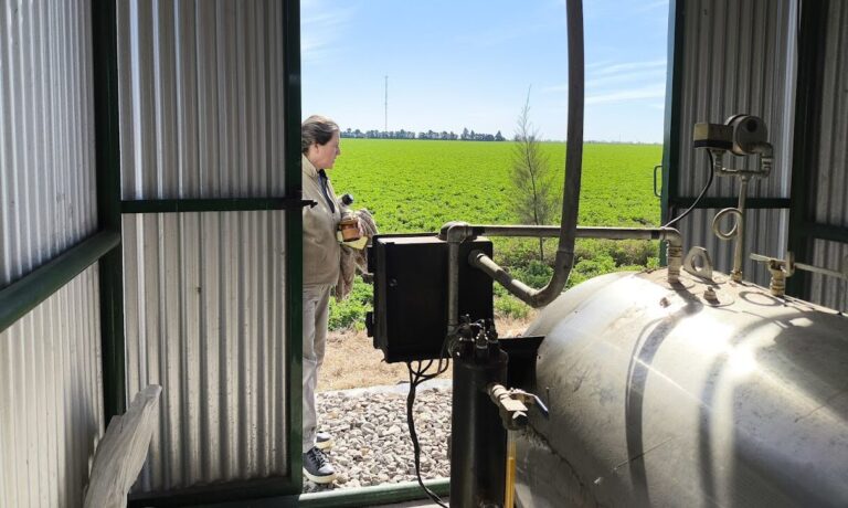 Una familia de buena leche: Daniela Iommi siempre fue feliz viviendo en el campo y trabajando en el tambo, pero lo es más ahora que ve a sus hijos tomando la posta