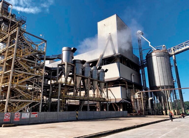 Industria paraguaya de soja podría beneficiarse del régimen argentino de retenciones