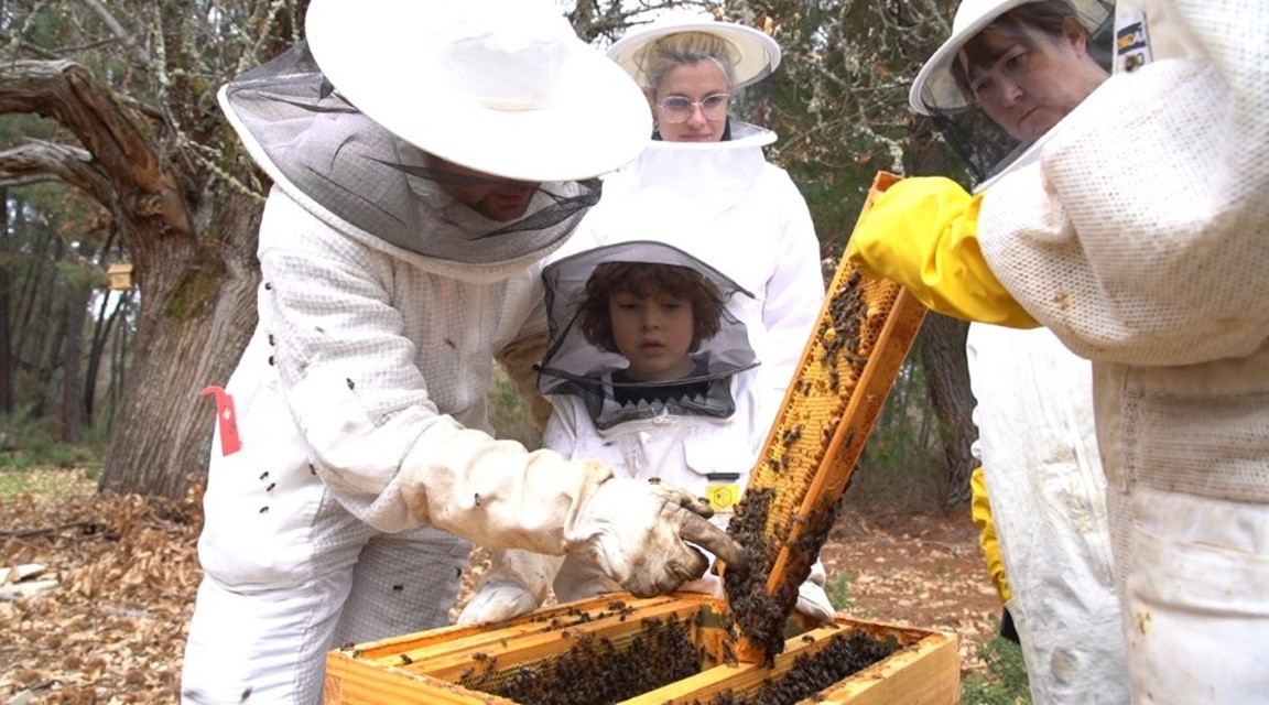 Paradores impulsa la recuperación de las zonas afectadas por los incendios Paradores impulsa la recuperación de las zonas afectadas por los incendios