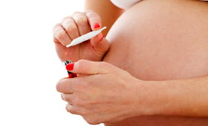 GRAVES DAÑOS DE LA MARIHUANA AL EMBARAZO: Infertilidad, aborto espontáneo y defectos genético