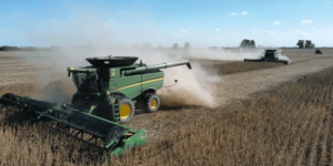 PRODUCTORES NO PUEDEN TRABAJAR POR FALTA DE DIÉSEL: Peligra la cosecha, el control de plagas y la fumigación