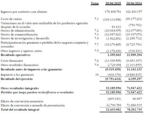 El balance de Rizobacter asegura que Bioceres S.A. es subsidiaria de Bioceres Group Limited ¿En qué quedamos?