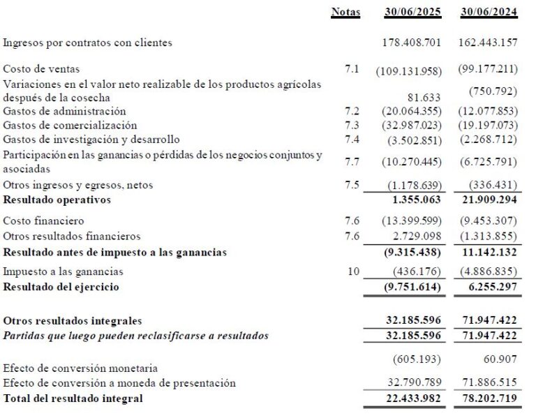 El balance de Rizobacter asegura que Bioceres S.A. es subsidiaria de Bioceres Group Limited ¿En qué quedamos?