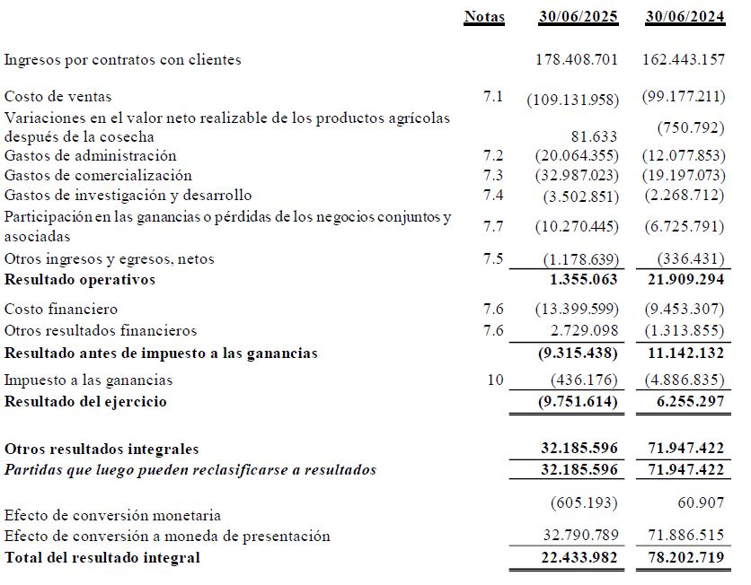 El balance de Rizobacter asegura que Bioceres S.A. es subsidiaria de Bioceres Group Limited ¿En qué quedamos?