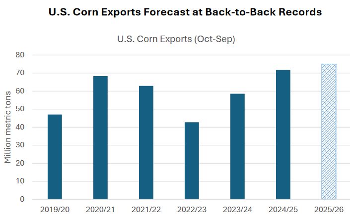 Trump lo hizo: EE.UU. se consolida como el número uno indiscutible en el mercado mundial de maíz