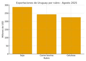 Exportaciones uruguayas crecieron en agosto impulsadas por soja, carne y celulosa