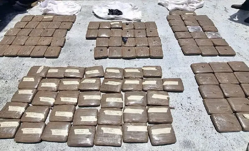 Trinidad y Tobago anuncia incautación de USD 29 millones en marihuana «proveniente» de Venezuela