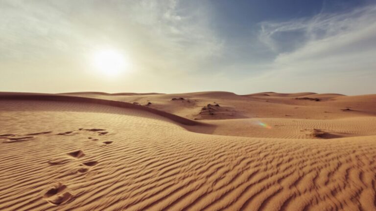 ¿Logró Moisés que Dios cambiara de opinión?