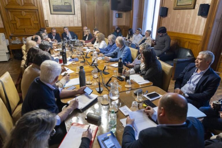 Senado /Intendentes por ingreso de funcionarios