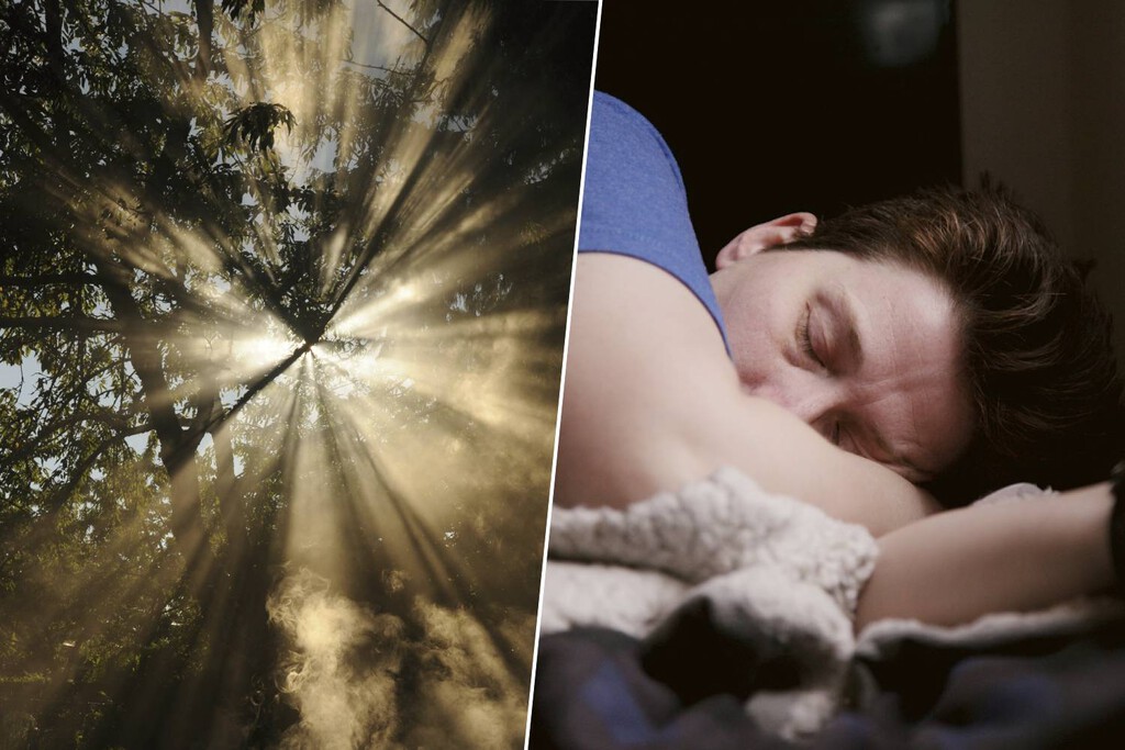 La ciencia ha revisado todo lo que sabemos sobre dormir bien. Lo más importante es lo más evidente: la luz