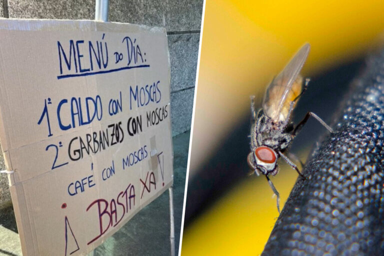 Un pueblo de Galicia ha salido a la calle por un problema peculiar: una plaga de moscas que nadie consigue frenar