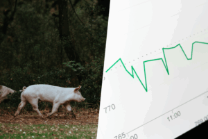 Hay gente comprando tierras, granjas y explotaciones de porcino en España. Y esa gente son fondos de inversión