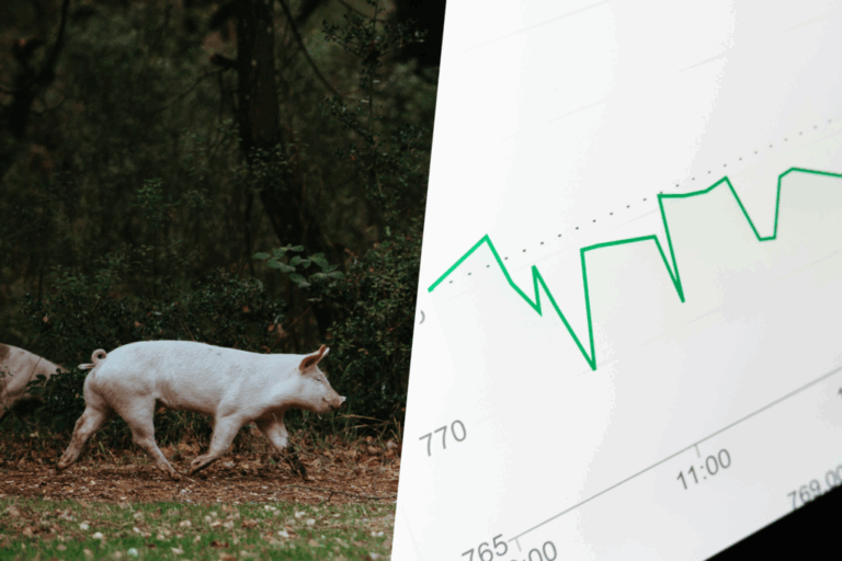 Hay gente comprando tierras, granjas y explotaciones de porcino en España. Y esa gente son fondos de inversión