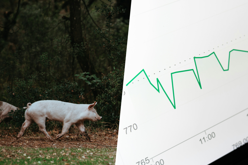 Hay gente comprando tierras, granjas y explotaciones de porcino en España. Y esa gente son fondos de inversión Hay gente comprando tierras, granjas y explotaciones de porcino en España. Y esa gente son fondos de inversión