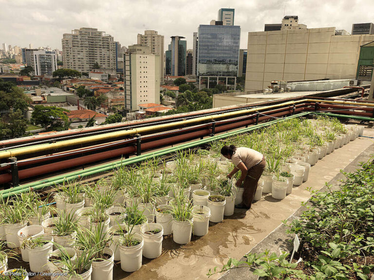 Vivir en lo urbano: reflexiones en el Día Mundial de las Ciudades